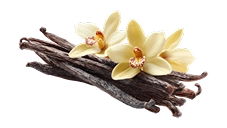 Vanilla